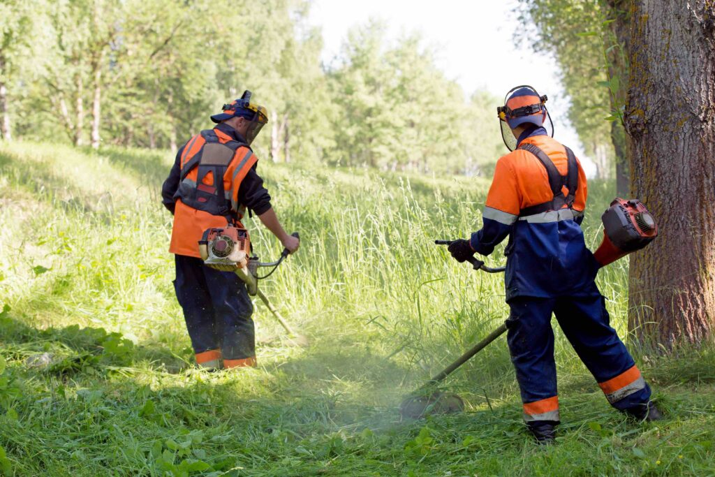 Contrat collectif santé des territoriaux